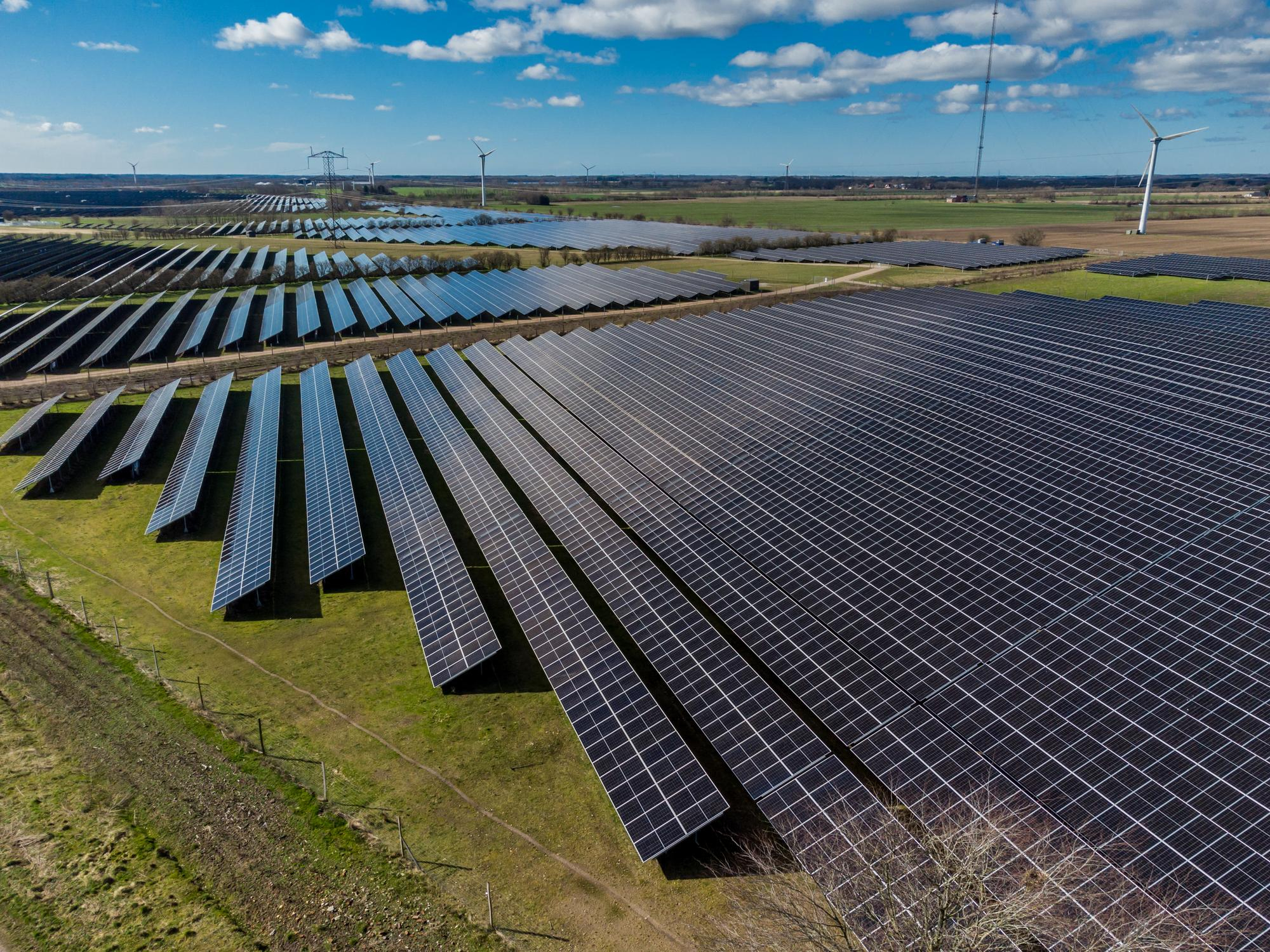 A vast field of monocrystalline solar panels in a large-scale photovoltaic power plant under a clear sky.